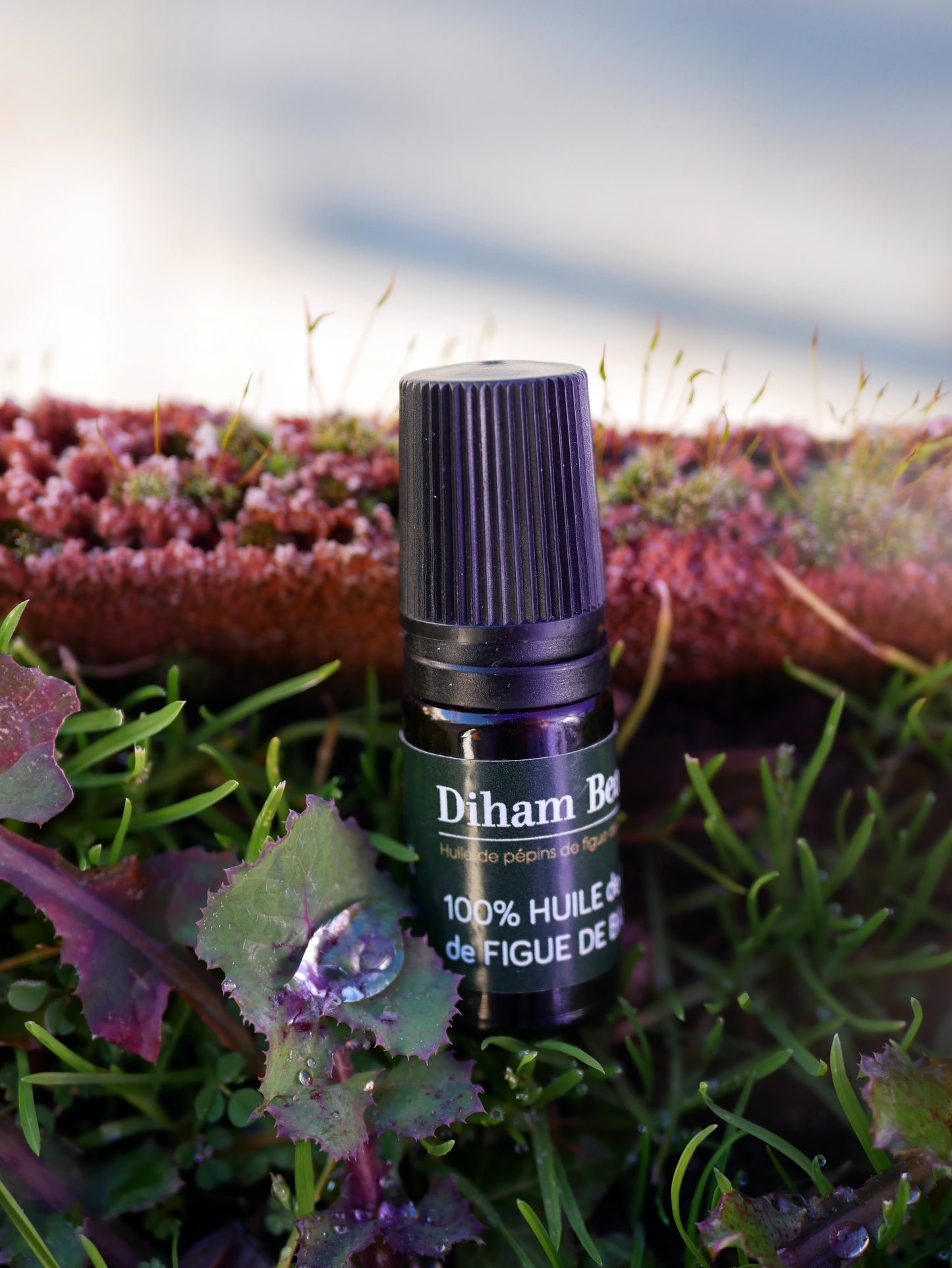Huile de pépins de figue de Barbarie 10 ml